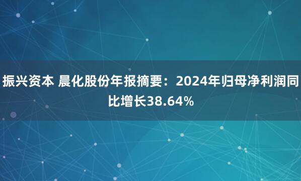 振兴资本 晨化股份年报摘要：2024年归母净利润同比增长38.64%