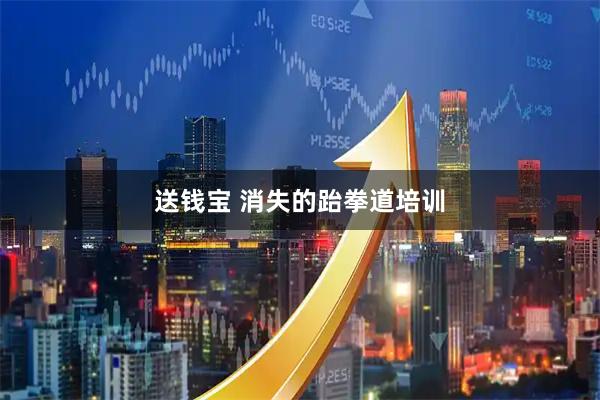 送钱宝 消失的跆拳道培训