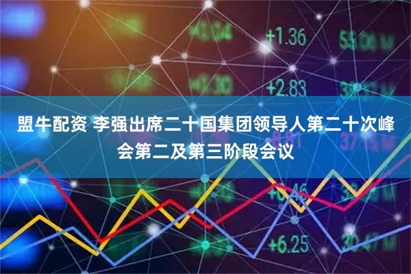 盟牛配资 李强出席二十国集团领导人第二十次峰会第二及第三阶段会议