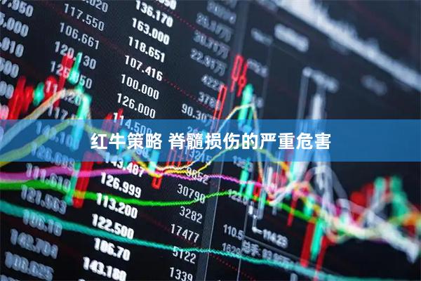 红牛策略 脊髓损伤的严重危害