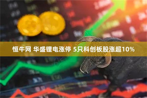 恒牛网 华盛锂电涨停 5只科创板股涨超10%